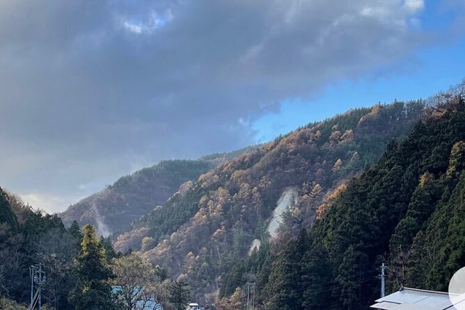 Snow Monkey Nagano or Mt Tsukuba Day Tour by Car English Driver - Customizable Itinerary
