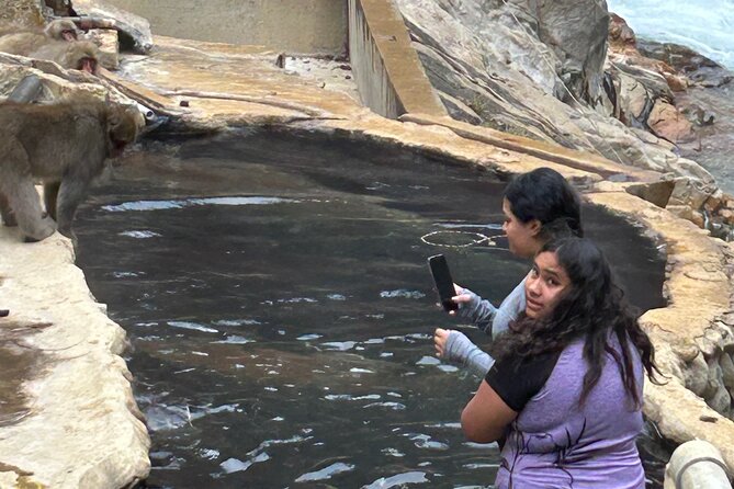 Snow Monkey Park Tour, From/To Tokyo, 2-12 Guests - Unique Experiences