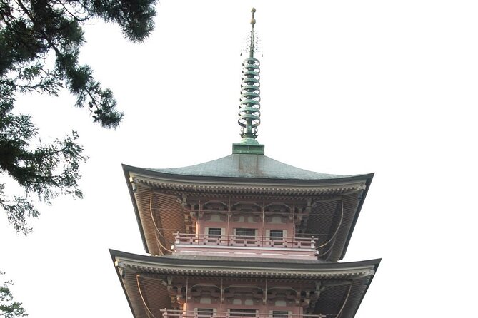 Snow Monkey Park & Zenkoji Temple Nagano Pvt. Full Day Tour. - Price
