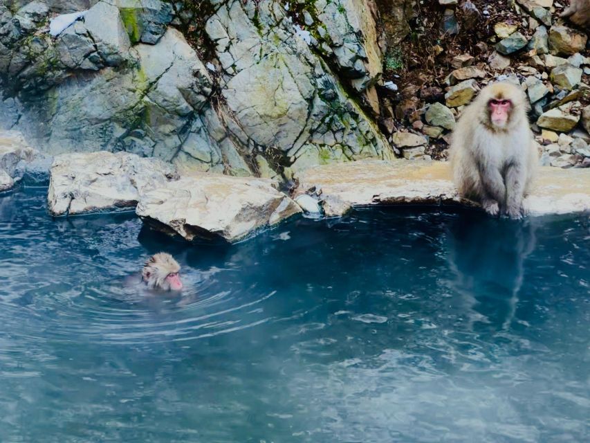 Snow Monkey Park & Zenkoji Temple One Day Trip - Inclusions and Exclusions