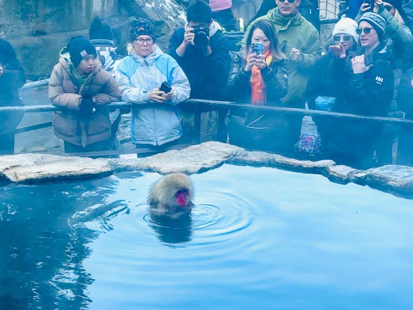 Snow Monkey Park & Zenkoji Temple One Day Trip - Suitability and Booking