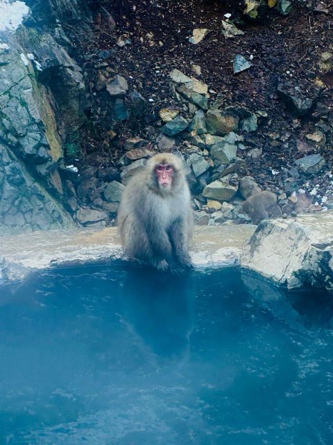 Snow Monkey Park & Zenkoji Temple One Day Trip - Arrival and Transportation