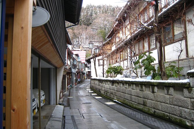 Snow Monkey & Shibu Onsen Afternoon Group Tour (Iiyama & Nozawa) - Tour Overview
