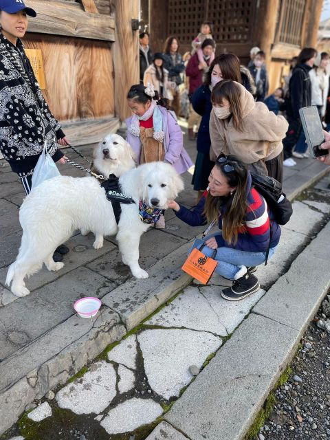 Snow Monkey & ZinkoJi With Sake Tasting Private Tour - Monzen Terrace Enya