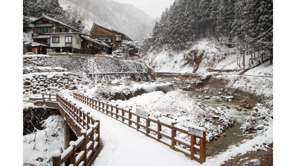 Snow Monkey & ZinkoJi With Sake Tasting Private Tour - Jigokudani Snow Monkey Park