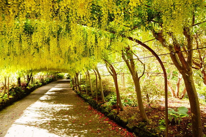 Snowdonia: Snowdonia, Bodnant Gardens & Castles Private Tour - Exploring the Highlights of Snowdonia and North Wales
