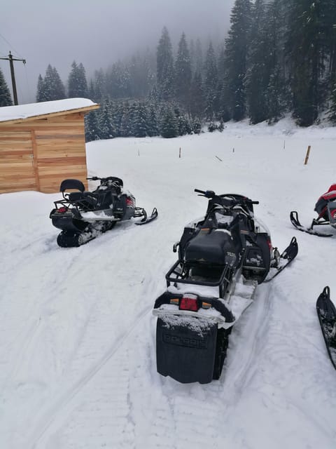 Snowmobile, ATV or Buggy Tour from Bucharest - What Makes This Tour Stand Out?