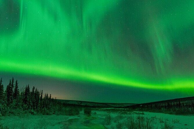 Snowmobile Guided Tour within The Date with Aurora in Alaska - Real Traveler Perspectives