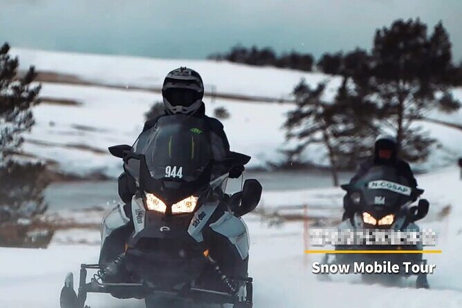 Snowmobile Guided Tour within The Date with Aurora in Alaska - Final Thoughts: Who Is This Tour For?