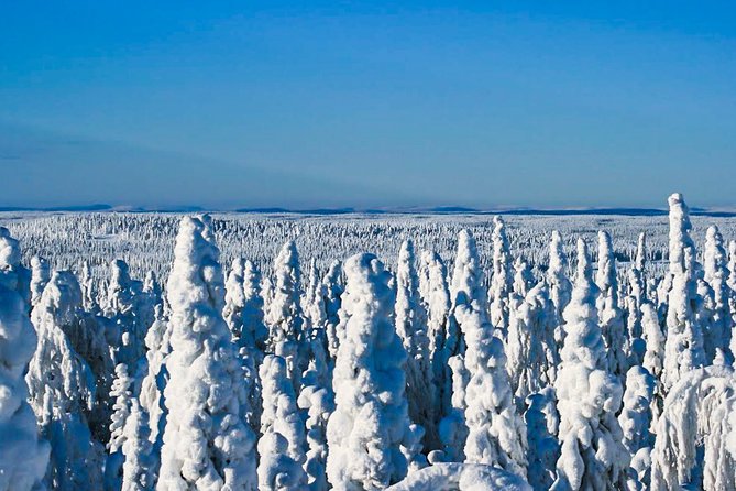 Snowmobile Safari in the Nature - Exciting Arctic Wilderness Exploration