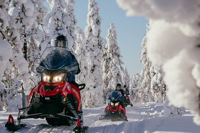 Snowmobile Safari into the Arctic Circle Forest - Snowmobile Safari into the Arctic Circle Forest: An Authentic Arctic Experience