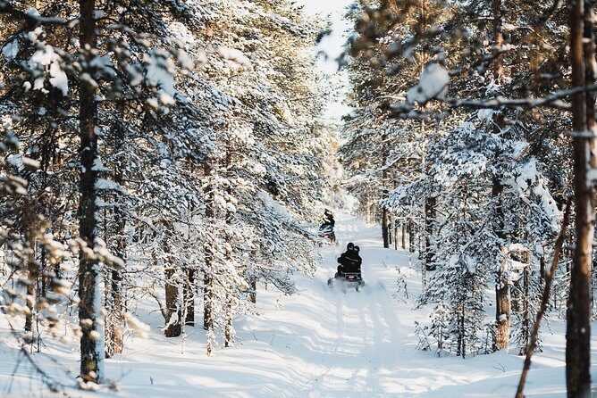 Snowmobile Safari into the Arctic Circle Forest - Key Points