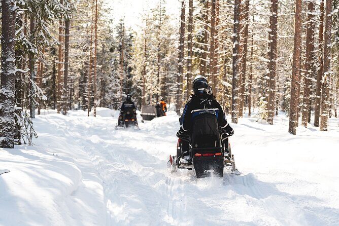 Snowmobile Safari into the Arctic Circle Forest - The Sum Up