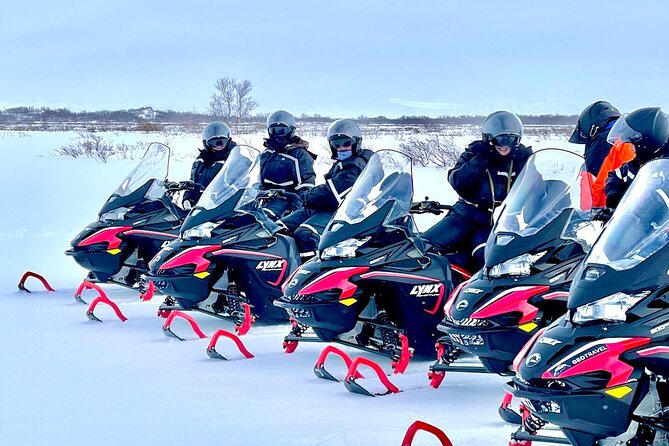 Snowmobile Tour by Lake Mývatn - Scenic Landscapes and Terrain