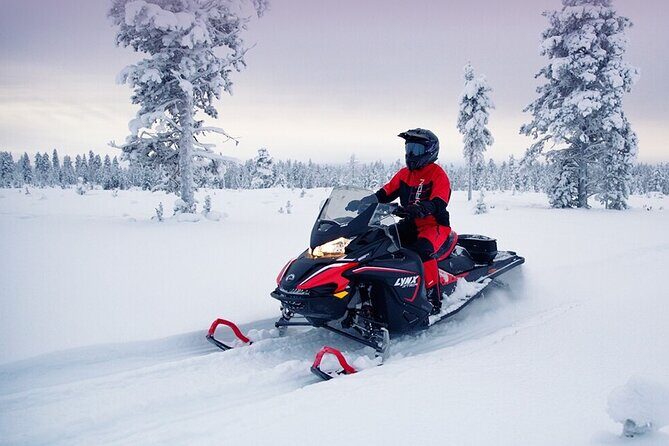 Snowmobile Tour with Small Group in Remote Wilderness 3 Hours - Discovering the Wilderness on a Snowmobile  