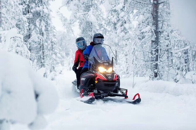 Snowmobile Tour with Small Group in Remote Wilderness 3 Hours - Authentic Scenic Views and Personal Touches  