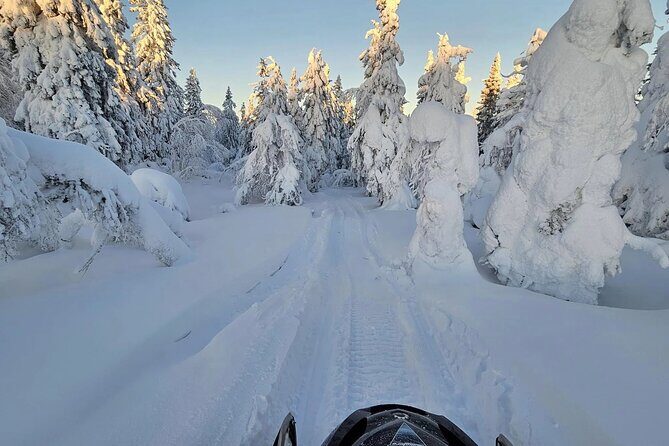 Snowmobile Tour with Small Group in Remote Wilderness 3 Hours - FAQ: Your Snowmobile Questions Answered  