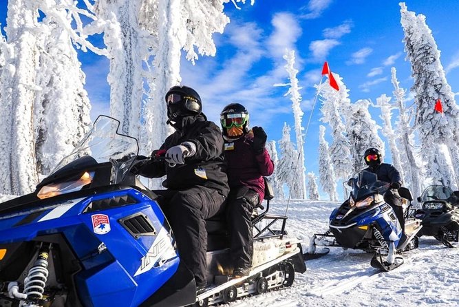 Snowmobiles Rides in the Carpathian and Winter Sports - Included Services