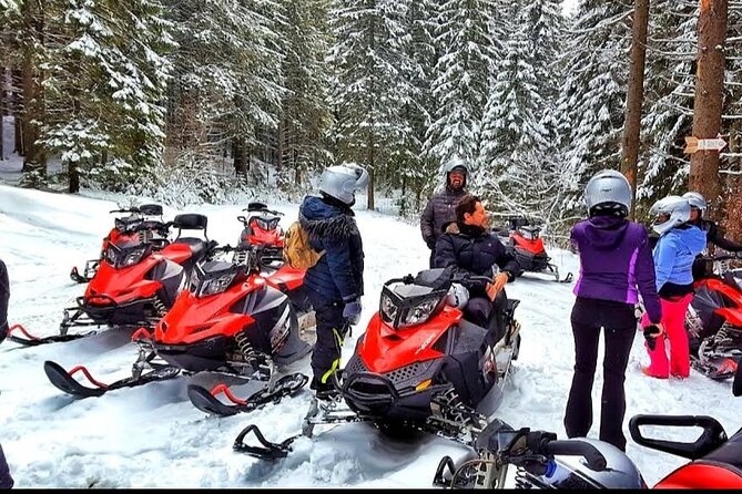 Snowmobiles Rides in the Carpathian and Winter Sports - Booking Information