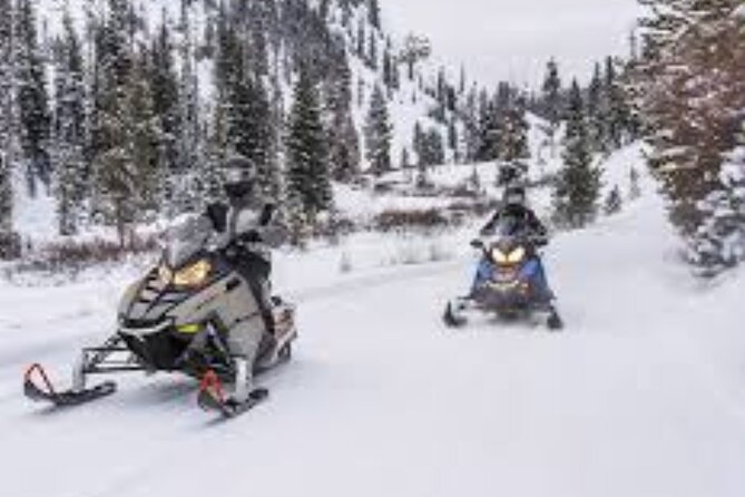 Snowmobiling Activity Rides of 1 Hour 30 - Price and Cancellation Policy