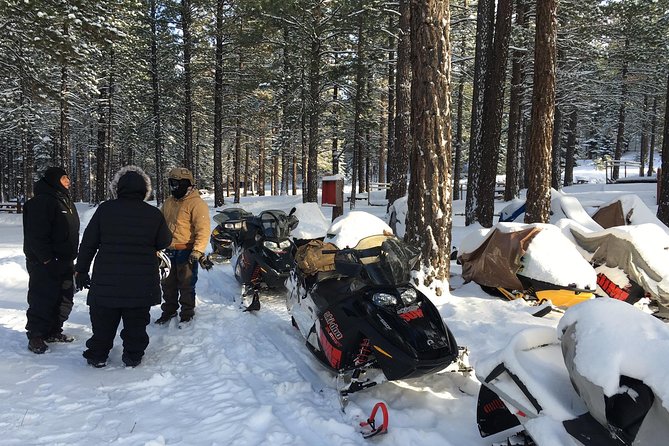 Snowmobiling Packages in the Sierras From Reno, Nevada - What to Expect on the Tour