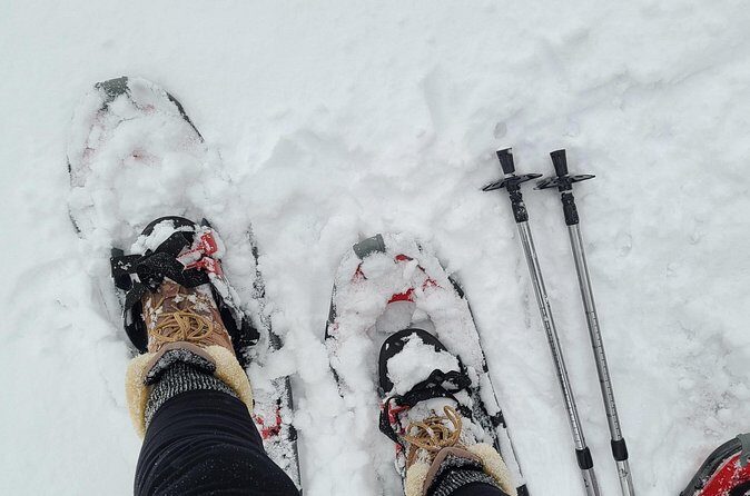 Snowshoe Adventure Frozen Falls and Firelight Tour - Final Thoughts