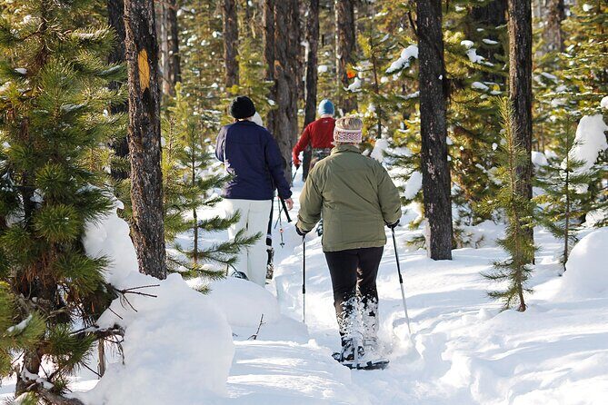 Snowshoe Adventure Frozen Falls and Firelight Tour - FAQ