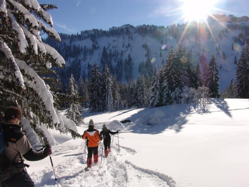 Snowshoe hike in the Allgäu - Key Points