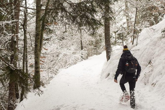 Snowshoe Hike to the Three Peaks of Lavaredo - Booking Information