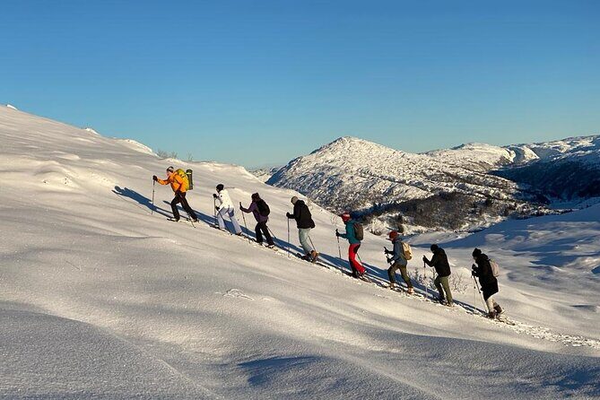 Snowshoe hiking Bergen Public - Norway Mountain Guides - An In-Depth Look at the Bergen Snowshoe Tour