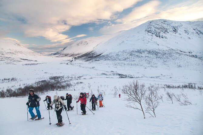 Snowshoe Hill Hike in Tromsø - Key Points