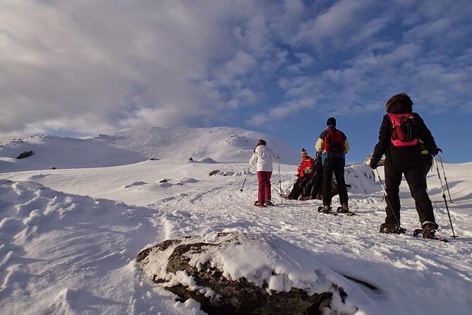 Snowshoe Hill Hike in Tromsø - What to Expect During Your Snowshoe Adventure