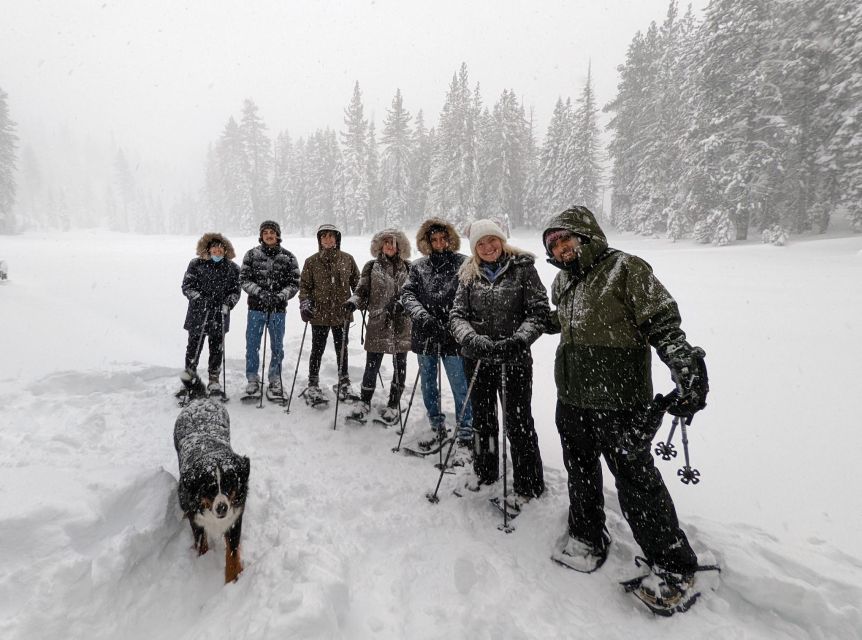Snowshoe Rentals and Self Guided Tour on Private Trails - Key Points