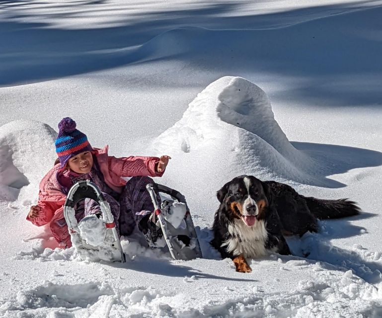 Snowshoe Rentals and Self Guided Tour on Private Trails - Panoramic Views at Palisades Point