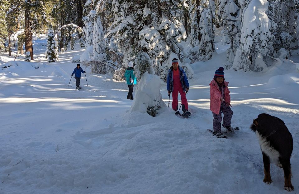 Snowshoe Rentals and Self Guided Tour on Private Trails - Inclusions