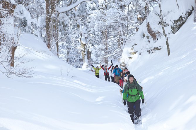 Snowshoe Tour - Highlights of the Tour