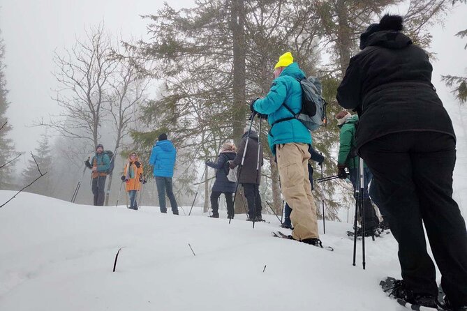Snowshoe Tour in Winter Wonderland - Oslo - Reviews and Feedback