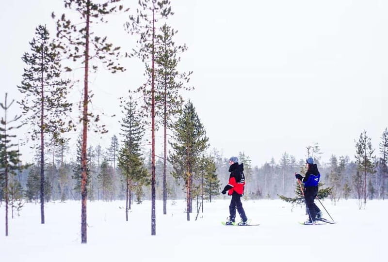 Snowshoe Trip for Ice Fishing in Saariselka - Practical Details and Value