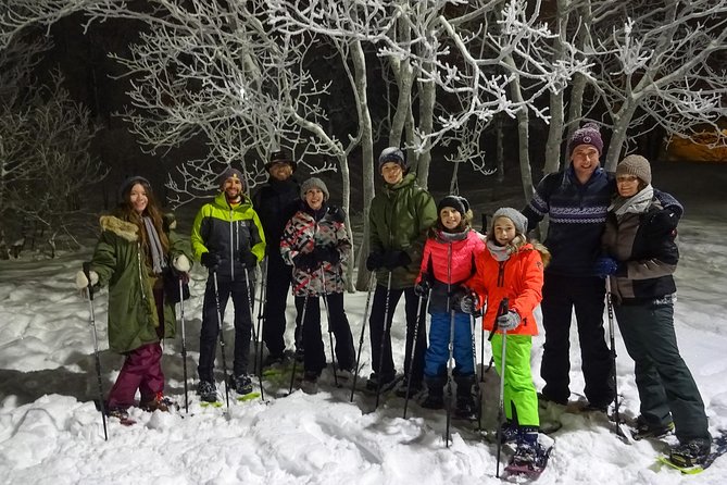 Snowshoe Trip With a Campfire in Tromso - Minimum Age and Accessibility