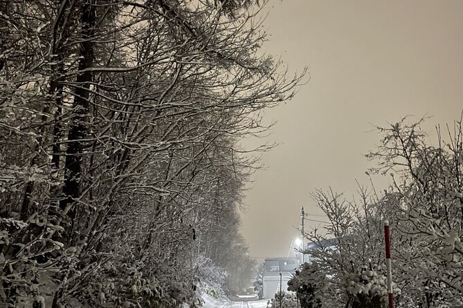 Snowshoeing Adventures in a Winter Wonderland - Sapporo - Traveler Considerations and Recommendations
