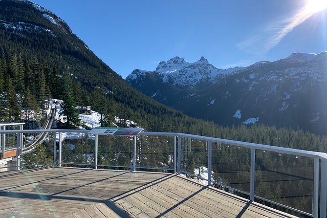 Snowshoeing at The Top of The Sea to Sky Gondola - Details About the Provider