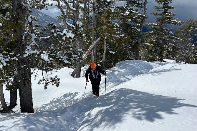 Snowshoeing at The Top of The Sea to Sky Gondola - Customers Ratings and Reviews