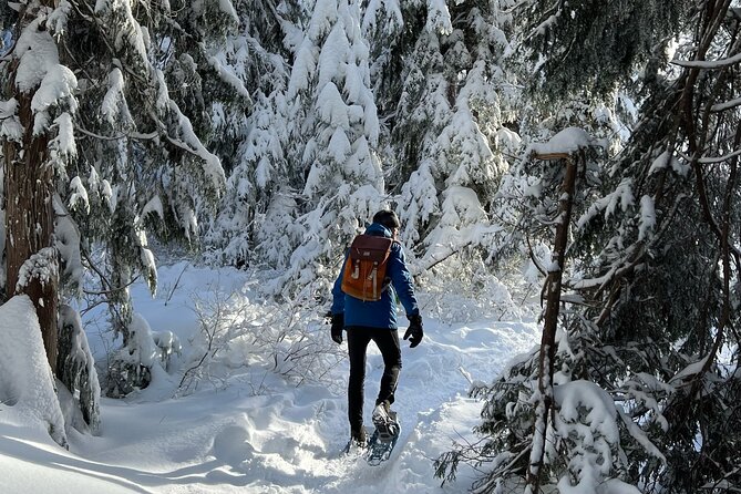 Snowshoeing at The Top of The Sea to Sky Gondola - Meeting and Pickup Arrangements