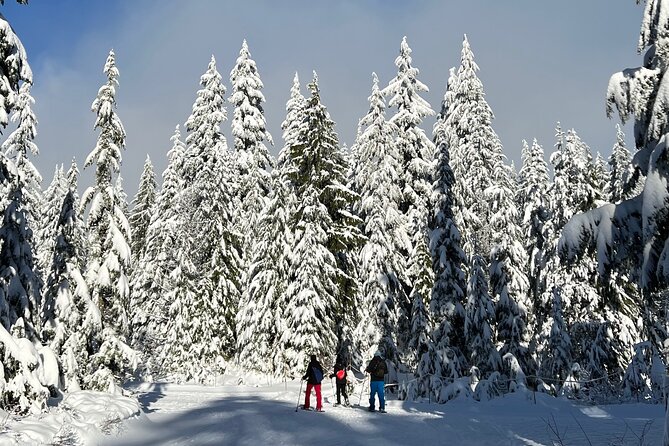 Snowshoeing at The Top of The Sea to Sky Gondola - Booking and Cancellation Policy