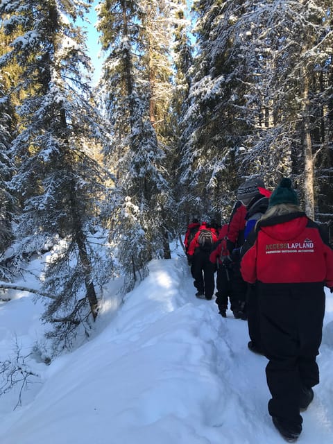 Snowshoeing Experience - Customer Feedback and Ratings