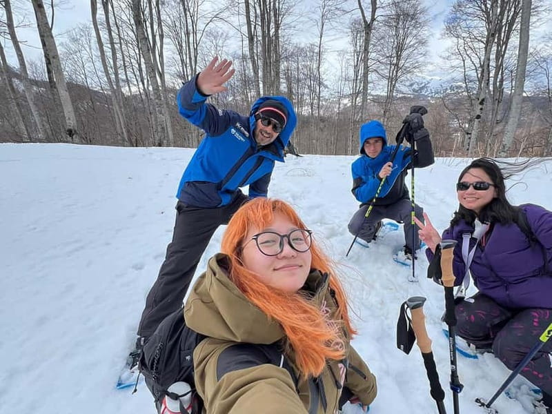 Snowshoeing in Bakuriani, Caucasus Mountains - Introduction: What to Expect from This Snowshoeing Tour