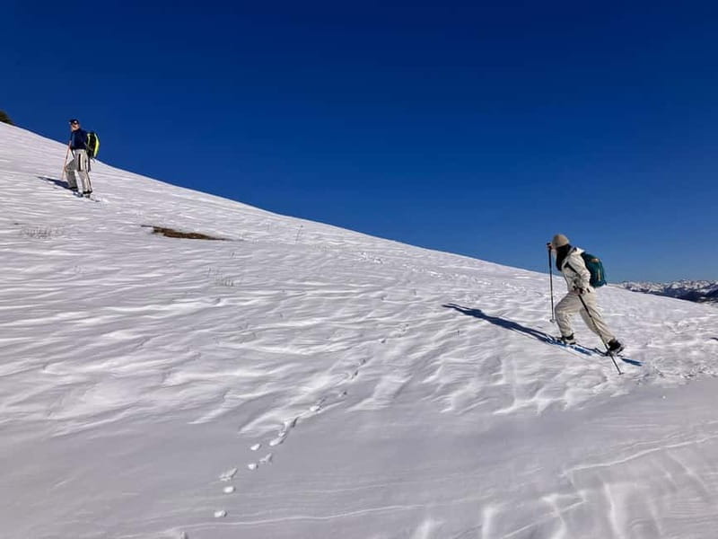 Snowshoeing in Bakuriani, Caucasus Mountains - The Itinerary: Breaking Down the Experience
