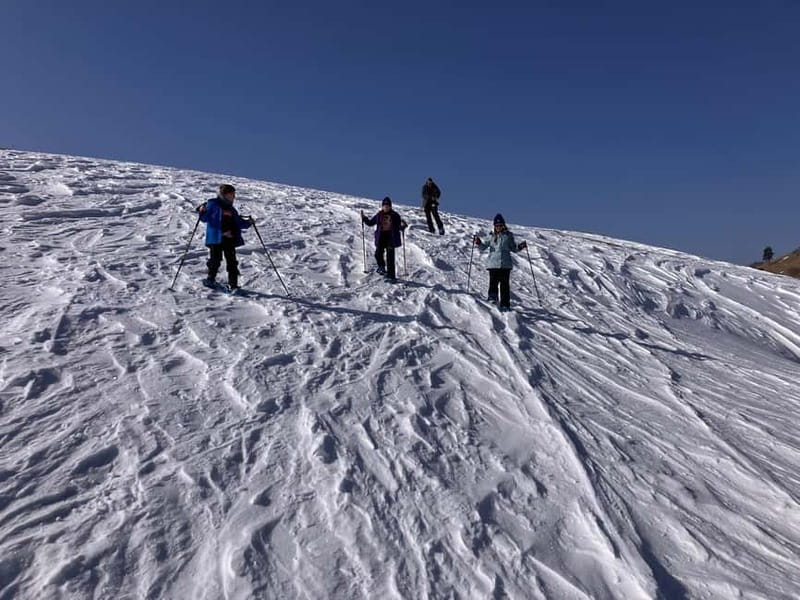 Snowshoeing in Bakuriani, Caucasus Mountains - What’s Included and What to Bring