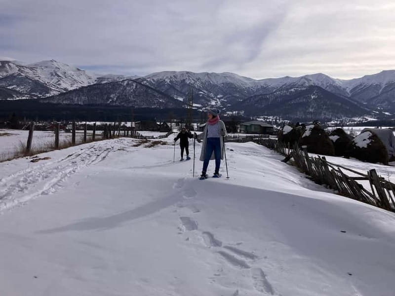 Snowshoeing in Bakuriani, Caucasus Mountains - Who Will Love This Experience?