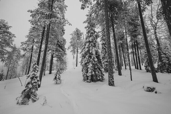 Snowshoeing in Snowy Forest with Local Guide - Final Thoughts